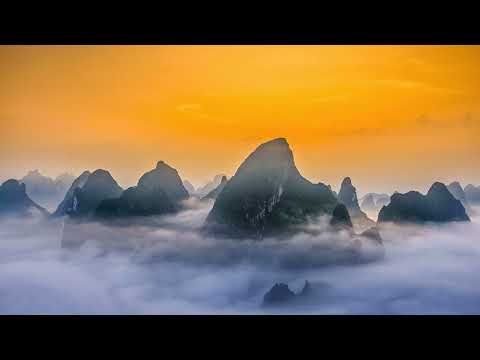 Attention - The Seed of our Compassionate Nature